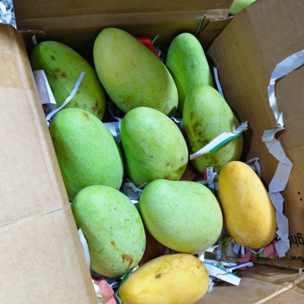 12Kg Family Pack !! সুইট কাটিমন আম