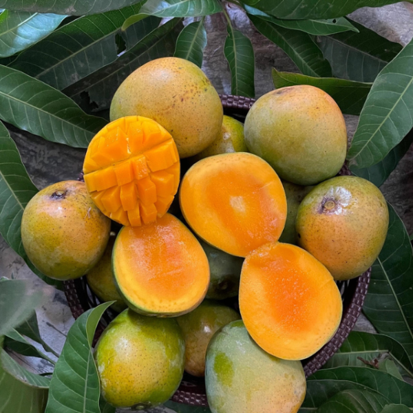 12 কেজি হিমসাগর || Pre Order